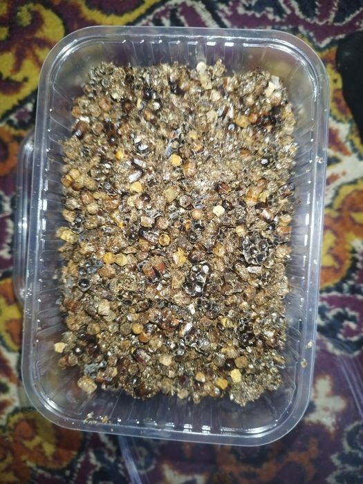 Мёд, прополис, соты, перга, пыльца