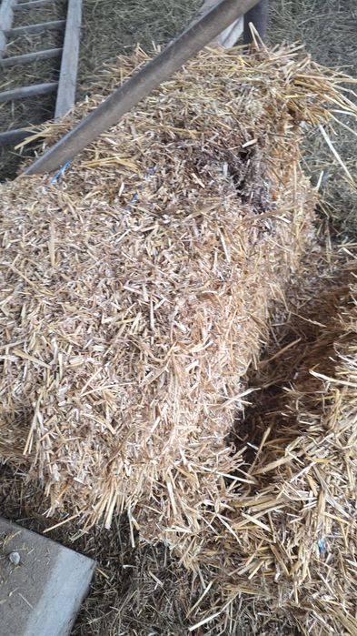 Baloti de paie de grâu