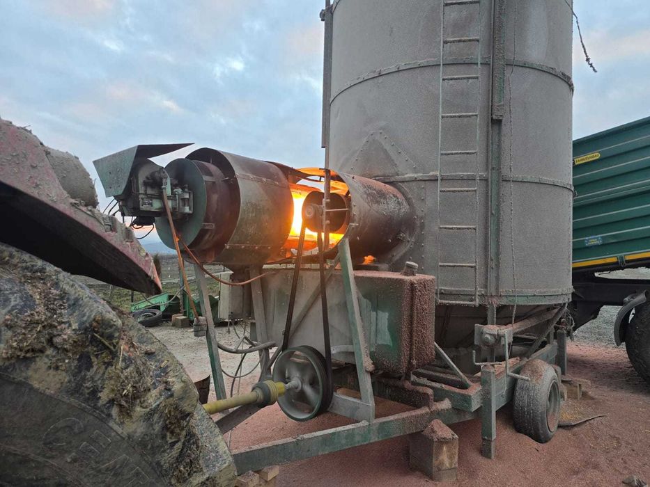 Vand porumb boabe uscat