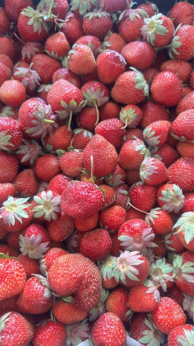 Продам Место дЛя отдыха ДАЧУ