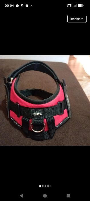 Ham pt căței Nobby