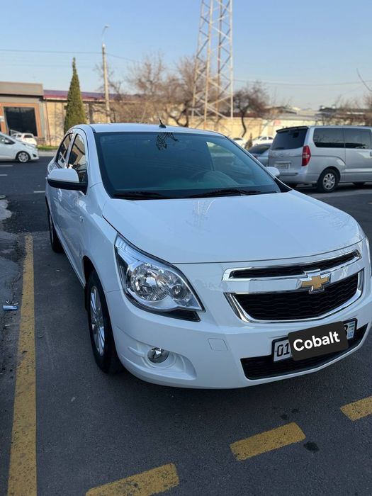 Kobalt MCM STYLE 2026