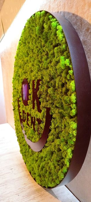 Кръгове със скандинавски мъх