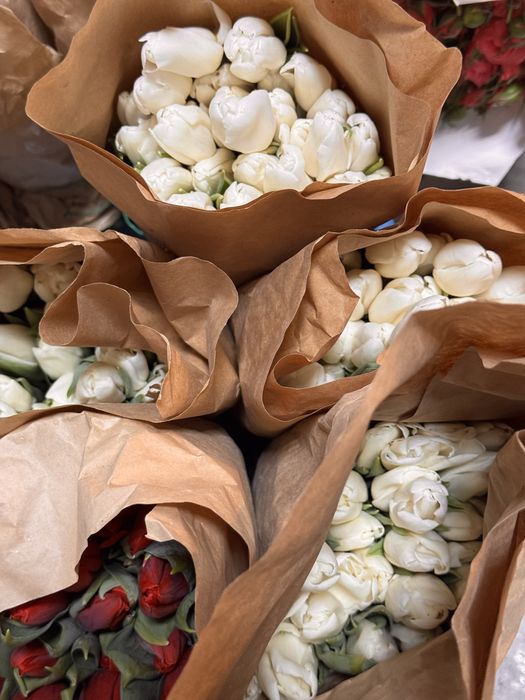 Тюльпаны премиальные