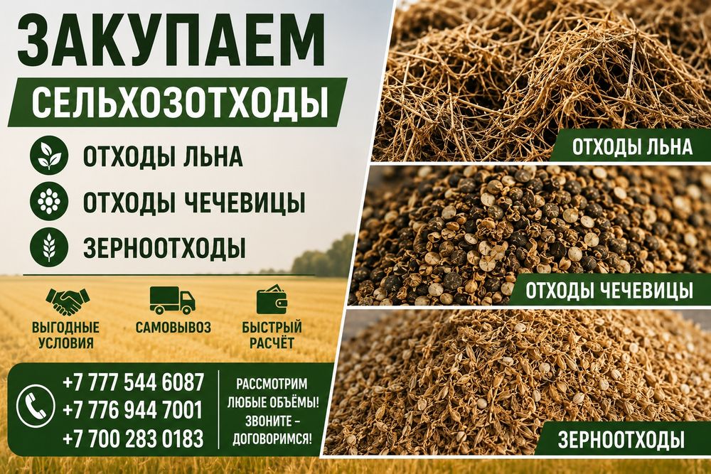 Закупаем сельхозотходы Отходы льна Отходы чечевицы