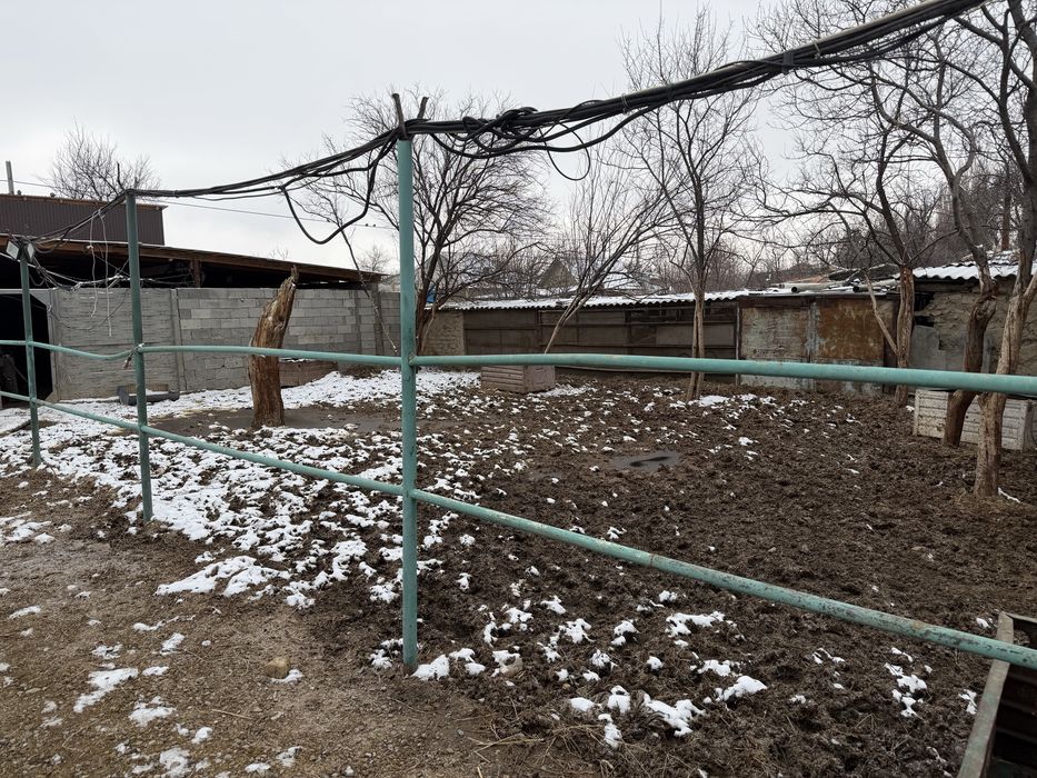 Продам дом с откормом для скота