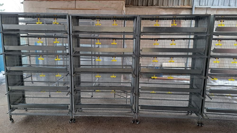 Клетки для КУР  несушек