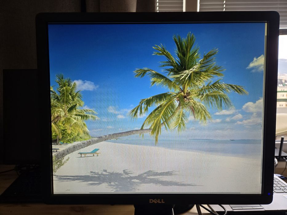 Монитор Dell 19"