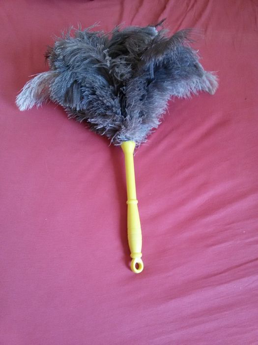 Четки от щраусови пера