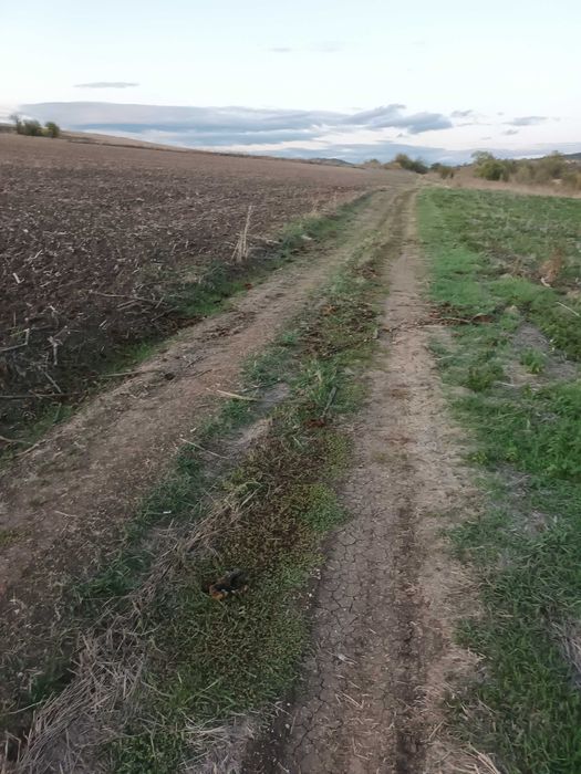 Продава се Земеделски имот в с. Горна Малина, Област София-област -  кв.м за 1222 €/дка - Снимка #5