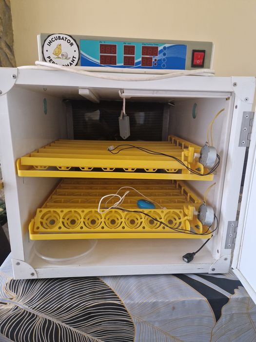 Incubator performant