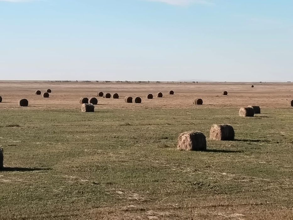 Шөп сатылады шөп сатылады