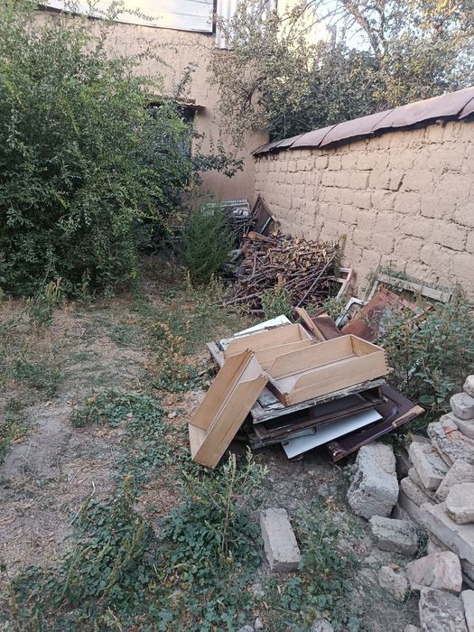 Otin tahta Tekin opketila Faqat hammasini