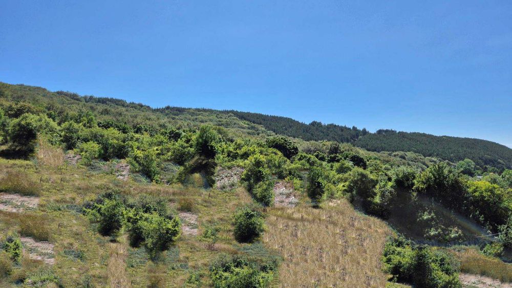 Парцели в регулация в село Боснек, Обл. Перник