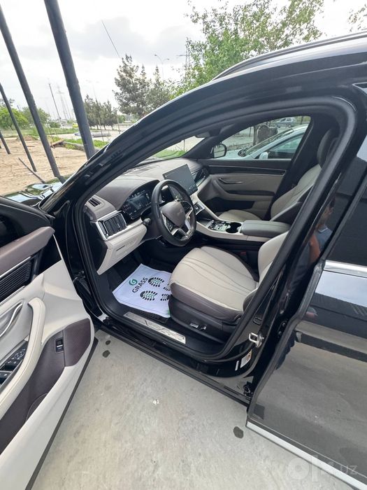 Byd champion 605km 2025/02 срочна