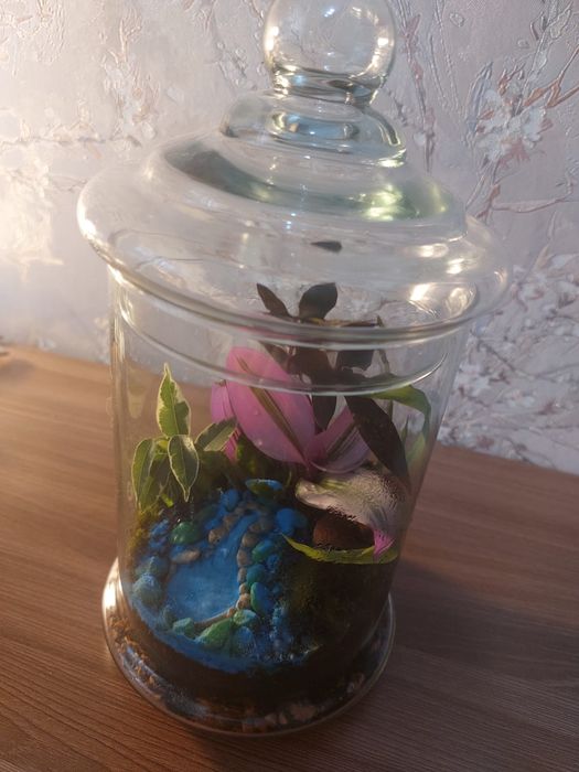 Продам флорариумы. Юго Восток