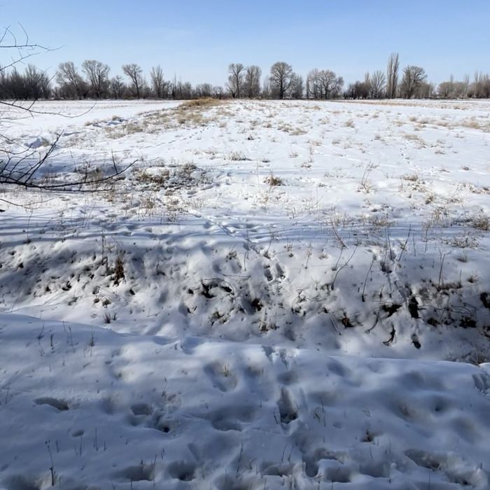 Земелный участок