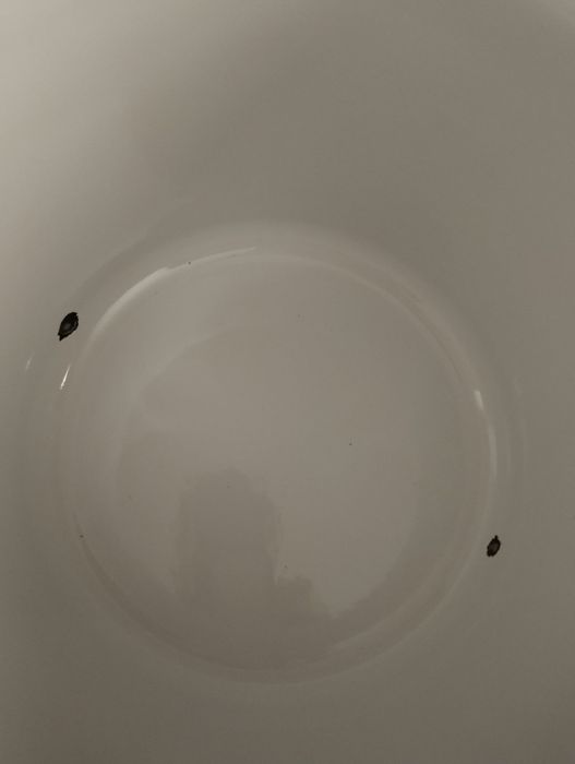 Домакинска тенджера руска