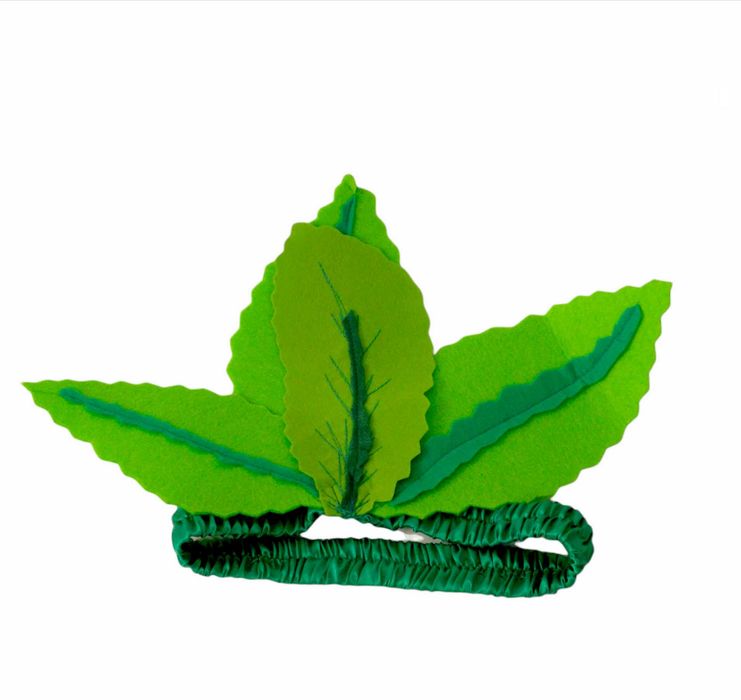 Costum Morcov Costum serbare party teatru halloween made in Romania