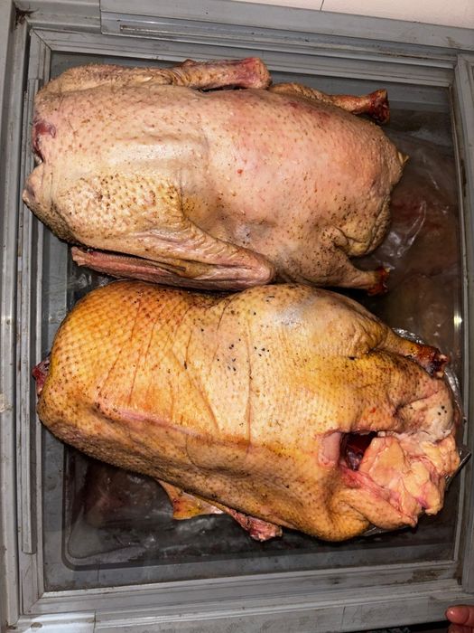 Домашний Гусь очень вкусный