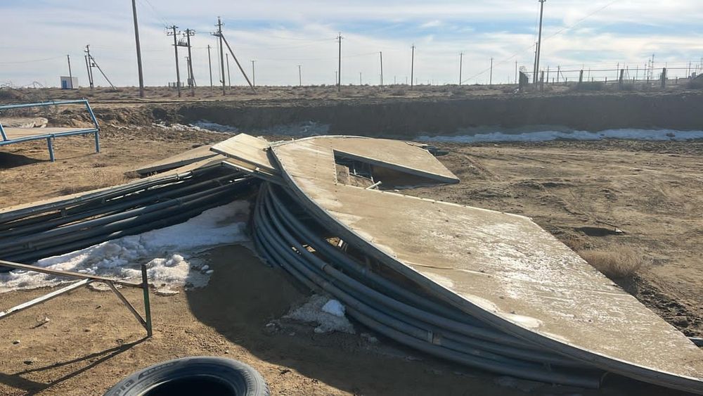 Теплица теплица теплица