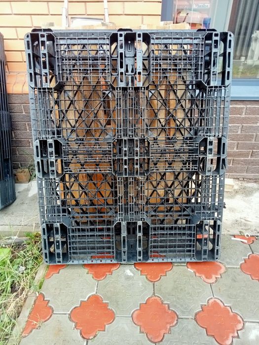 Пластиковые паллеты (поддоны)