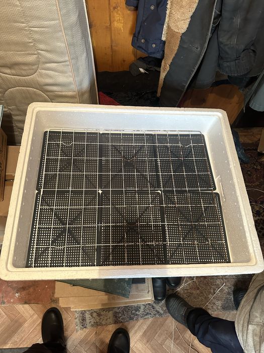 Инкубатор ,Несушка’ на 104 месту