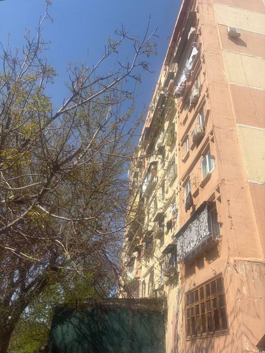 Uy sotiladi Algaritmda
