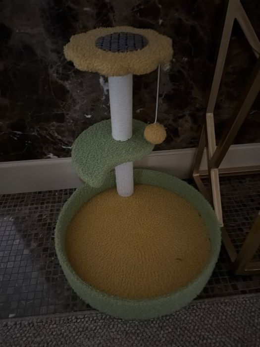 Отдам в добрые руки котенка