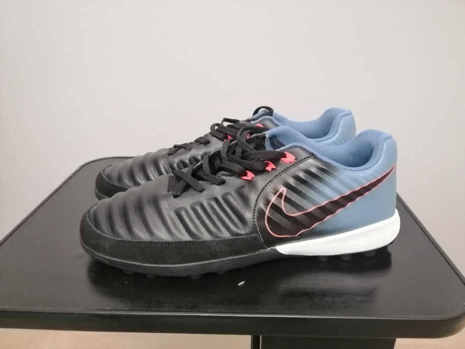 Зальники, сороконожки