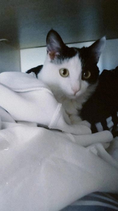 27апреля одам в хороших рук