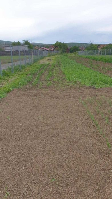 Teren de vânzare în Mihai Viteazu, Cluj