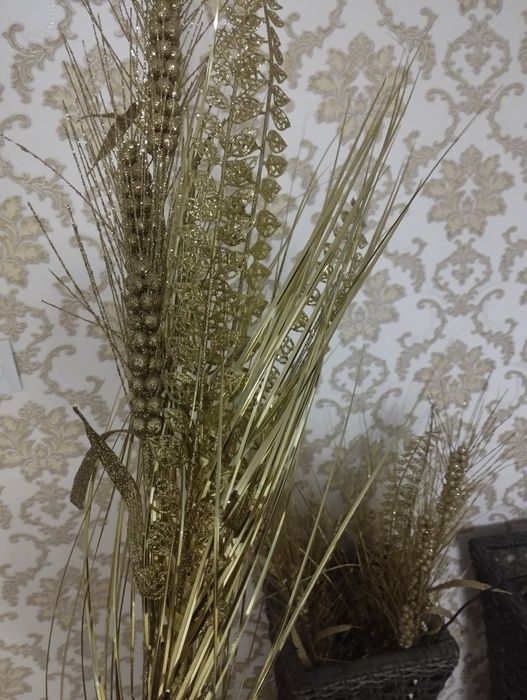 продаётся  колосья золотого цвета очень красивые