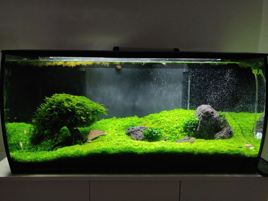 Acvariu Fluval Flex 123L – vand sau fac troc