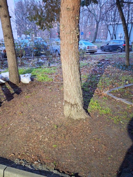 Дава се под наем Магазин в София, Разсадника - 12 кв.м за 59.67 € - Снимка #3