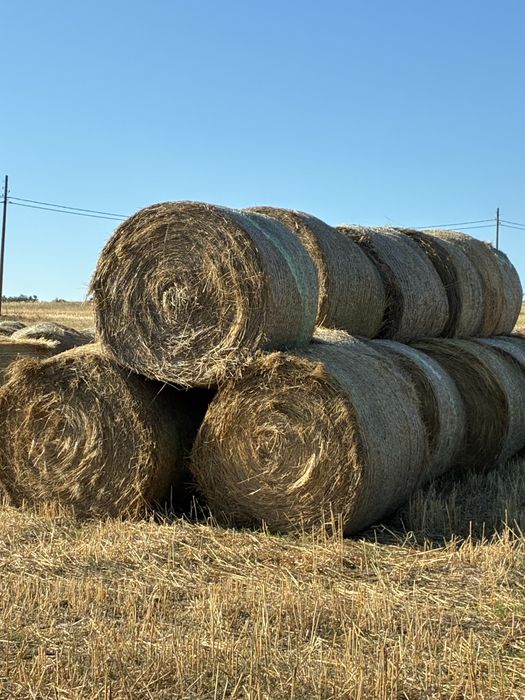 Продавам бали СЕНО !