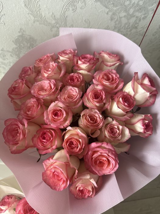 Свежие розовые розыы