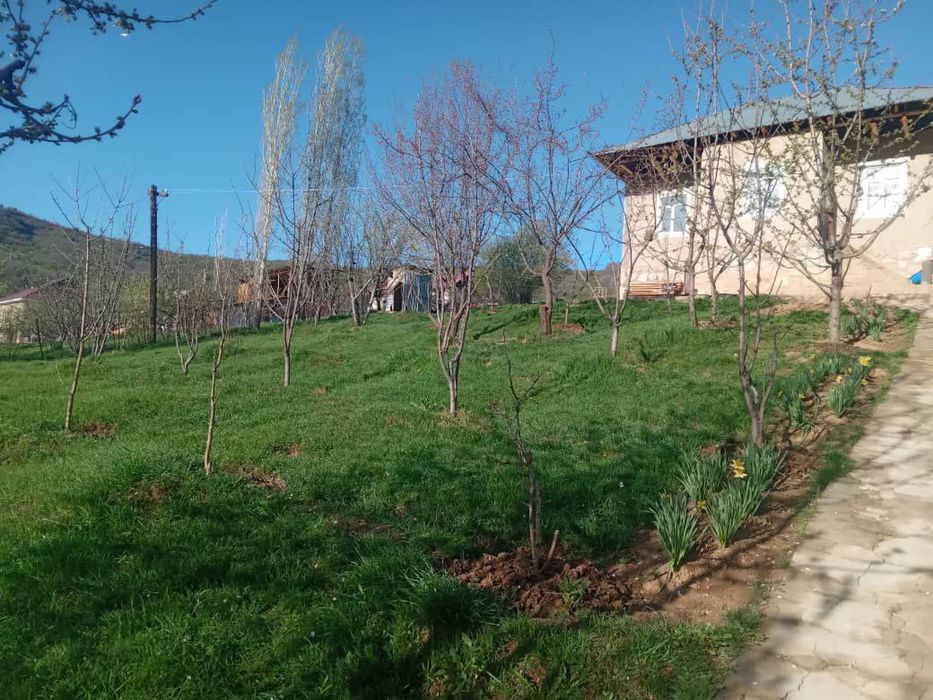 Уй Сотлади Чимёонда