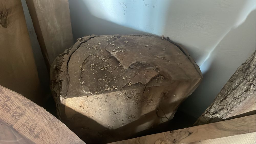 Busteni de nuc uscat