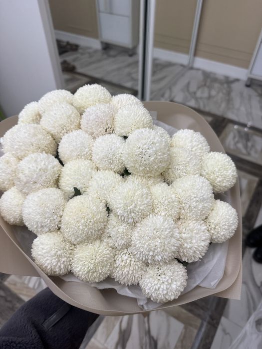 Срочно продаю цветы