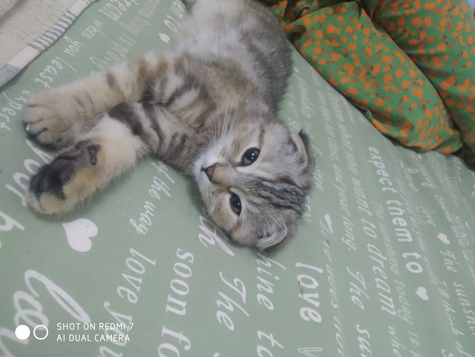 Eng zor jinsiy aloqa filmlar