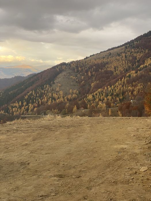 Teren de vanzare  zona Rusu