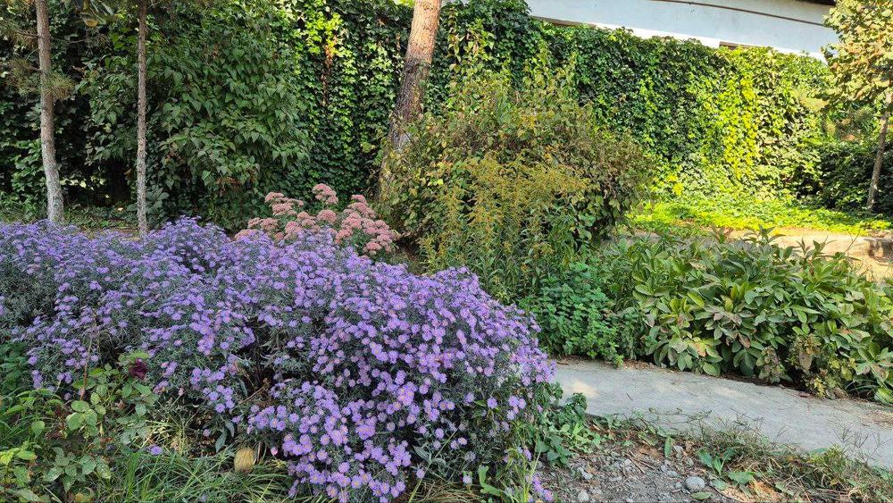 Дом 23 сотки в  пос. Балыкчи (Юкоричирчикский р-н)