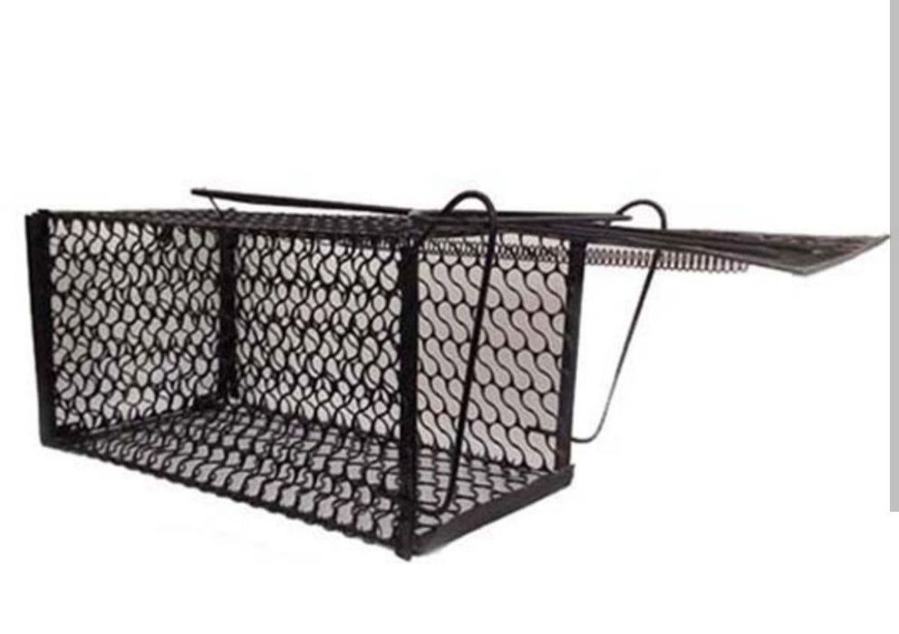 Kalamush qopqon,Sichqon qopqon (Lovushka)