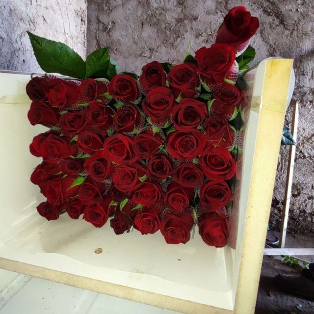 Сифатлик Атиргул кучатлари сотилади