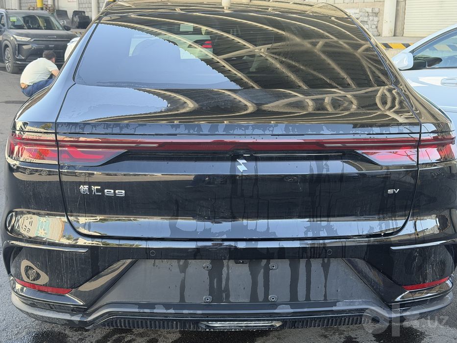 BYD E9  535km Fast charge