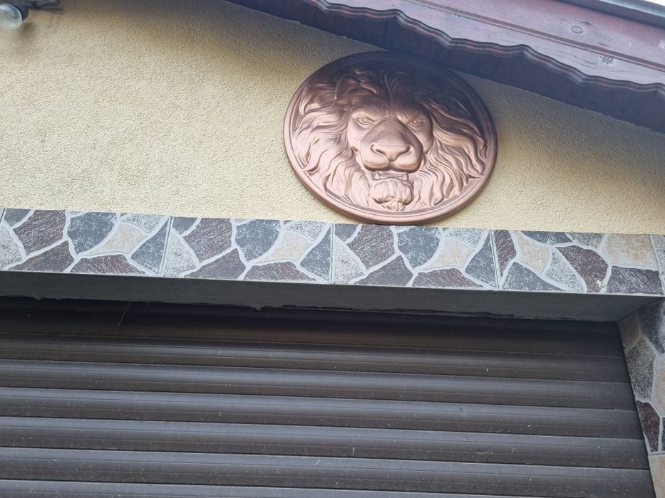 Decorațiuni gradina si perete