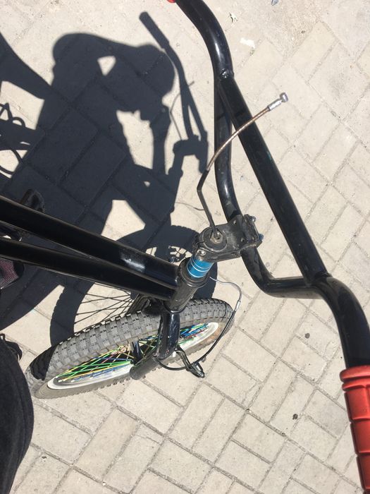 Велик обычный