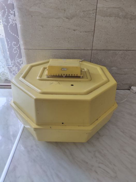 Vând incubator cleo 5