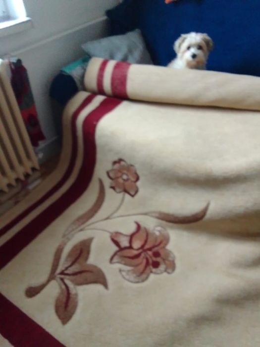 Covor pentru camera mare.